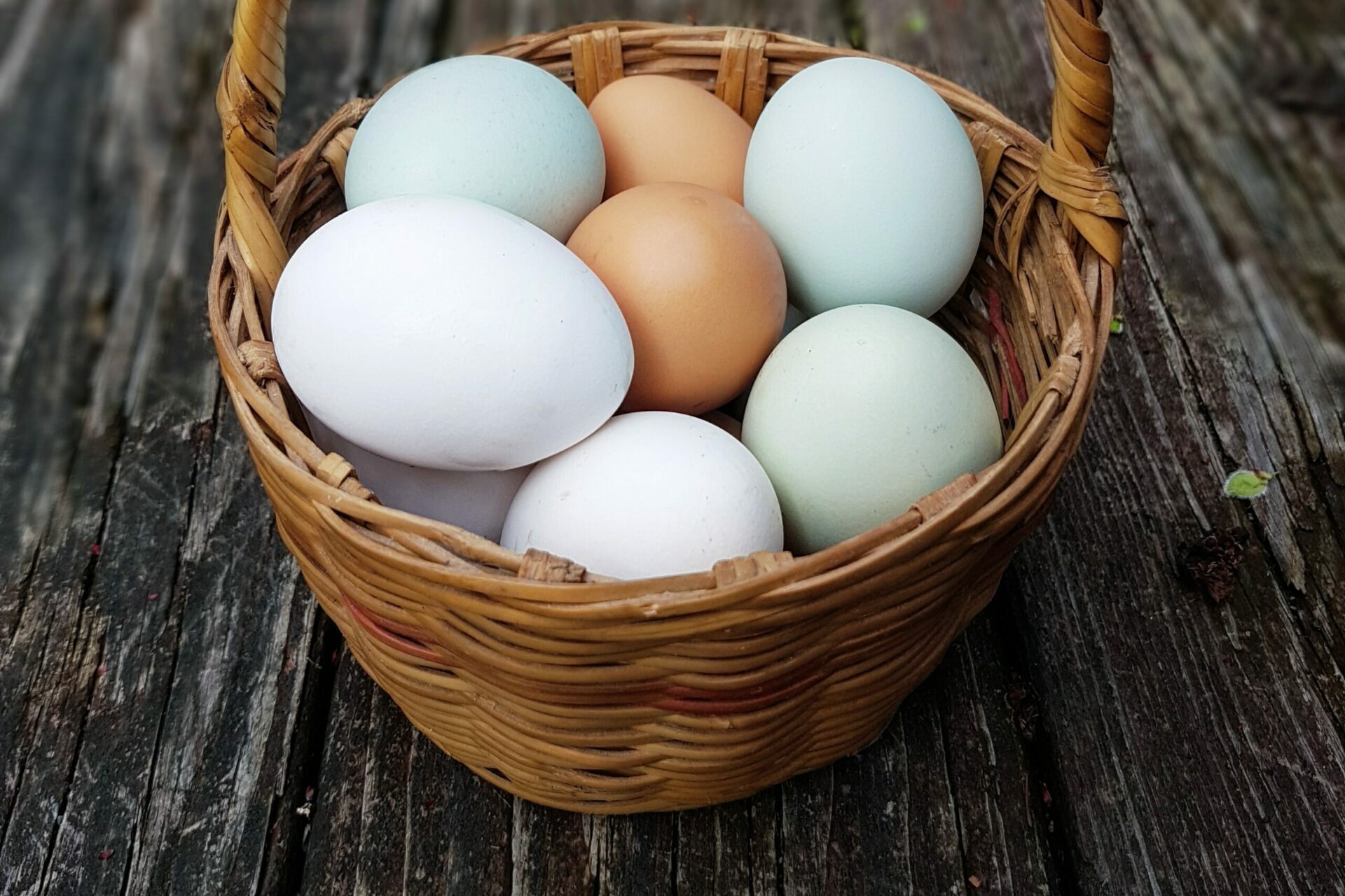 Basket of Multi Colored eggs