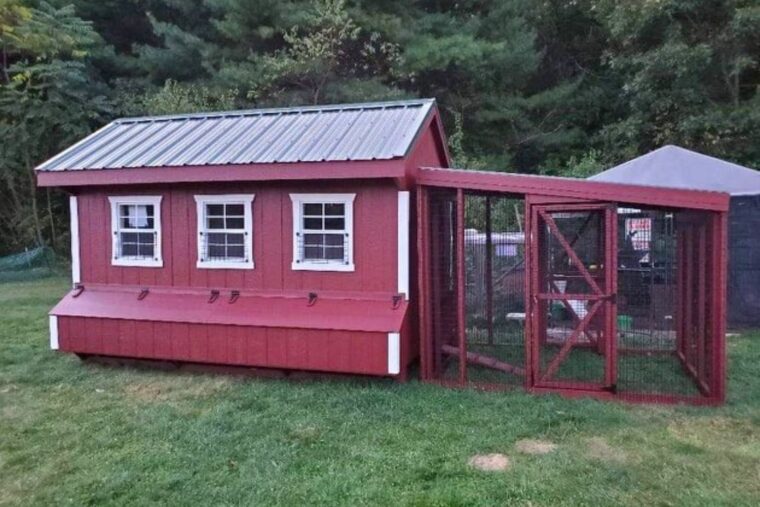 Dorothy's Large Chicken Coop 