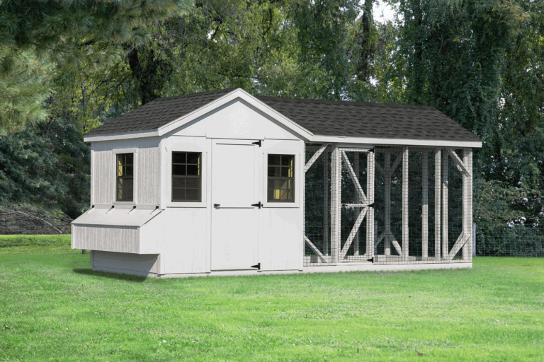 white combination coop for backyard chickens in north carolina