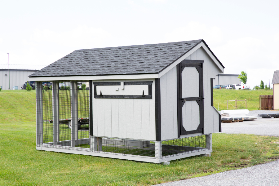 Rear Side of a White and Black Trimmed 6x12 Quaker Combination Chicken Coop for sale in Ohio