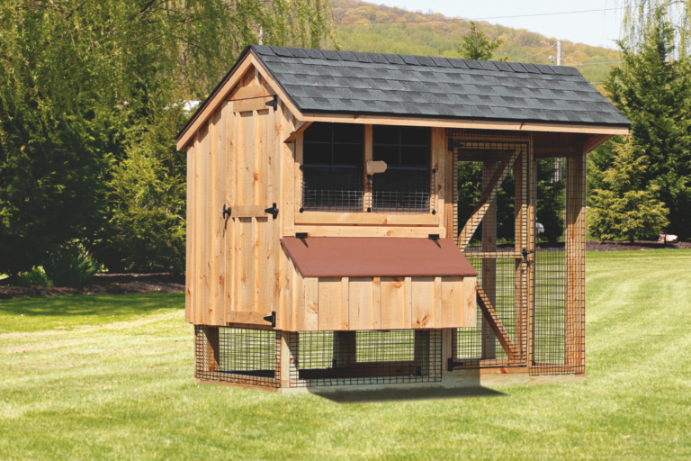 wooden chicken coop with run for backyard chickens in rhode island