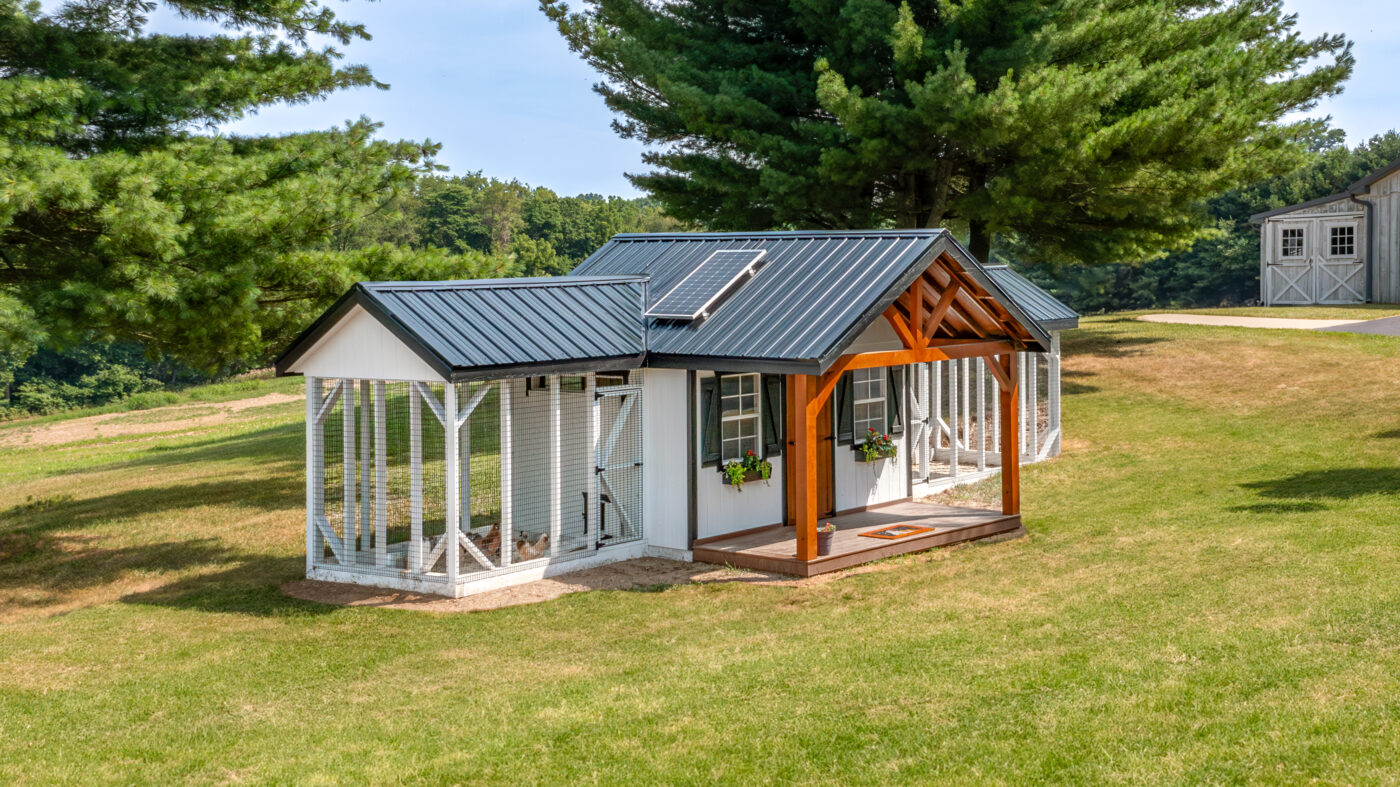 side angle od white and black trimmed chicken coop with wooden front porch two outdoor runs and black metal roof with solar panel on top