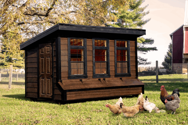 lean to chicken coops from hen house collection dealers