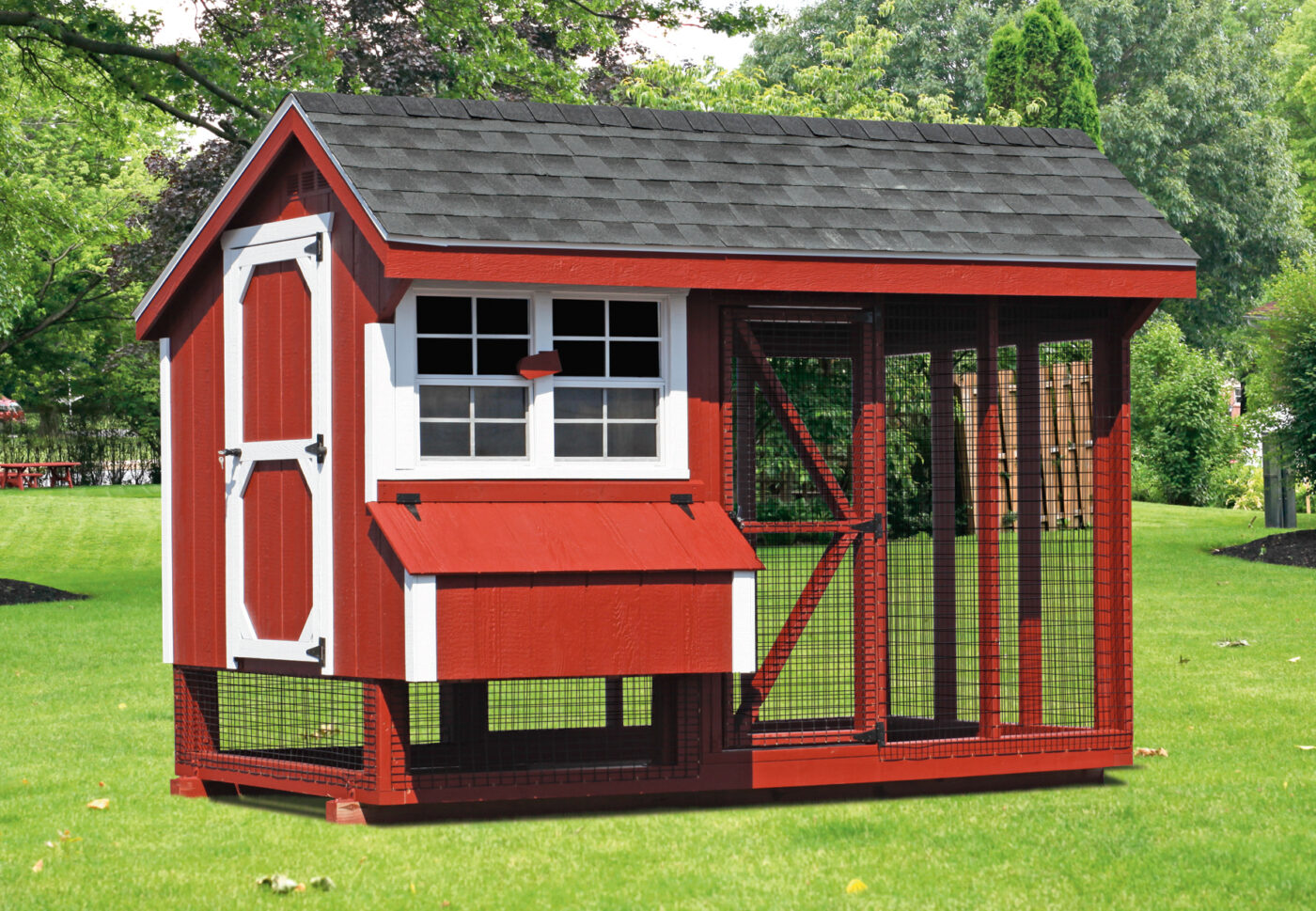 red and white trimmed combination chicken coops in Charlotte Hall MD with outdoor run