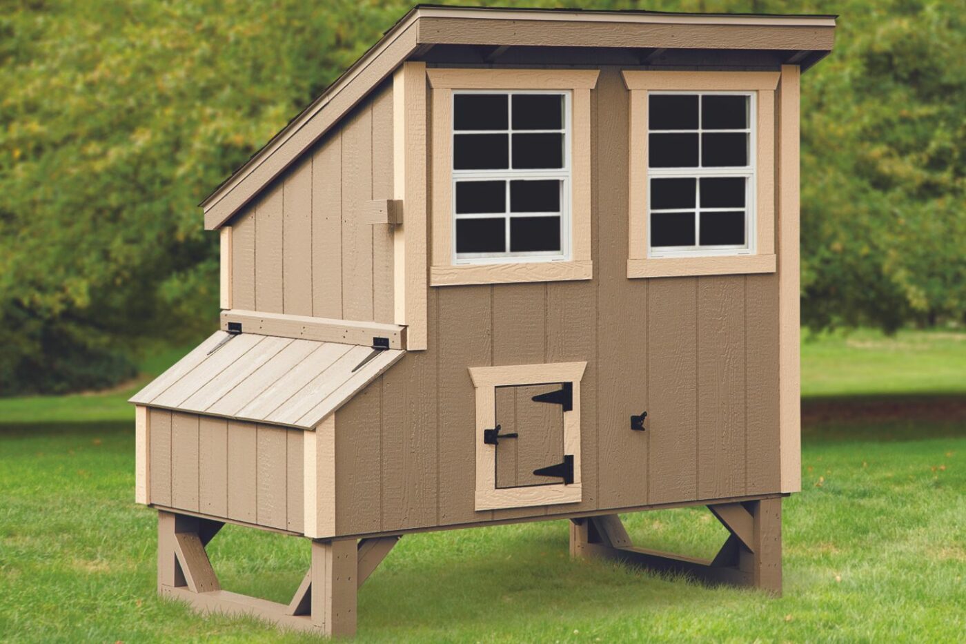 lean to chicken coops in