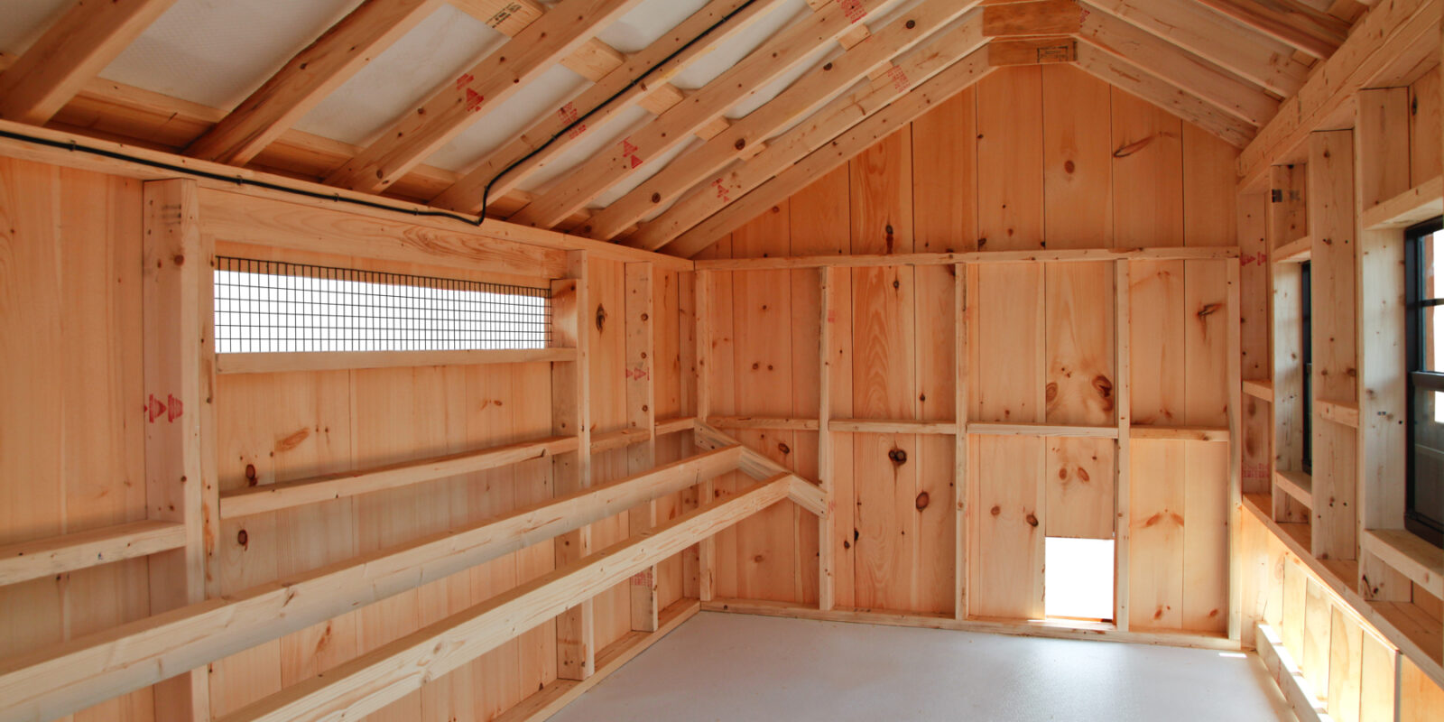 Best Steps to Turning a Shed into a Chicken Coop | The Henhouse 