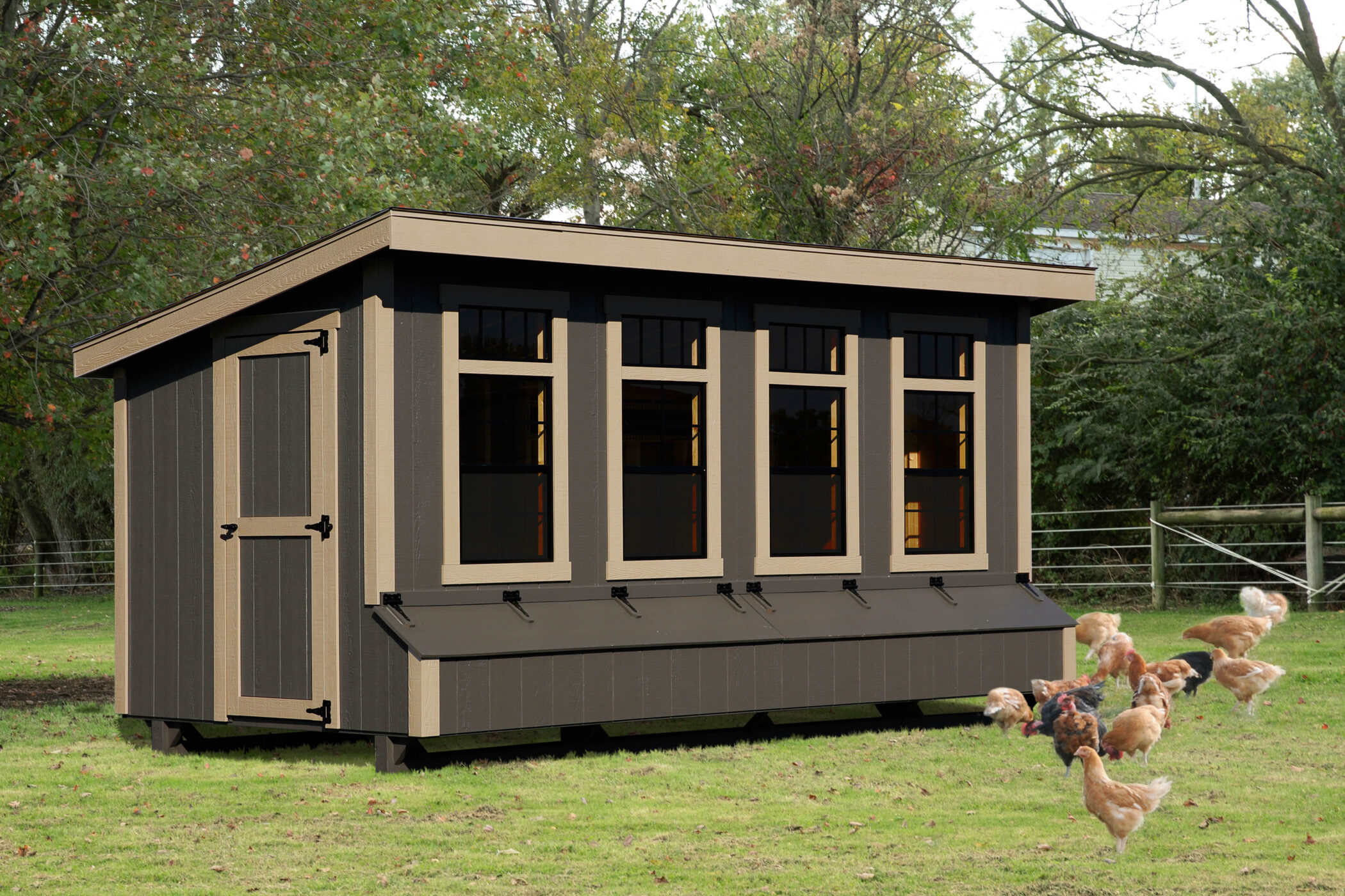 black lean to chicken coops in Charlotte HAll MD with tan trim and 5 large windows