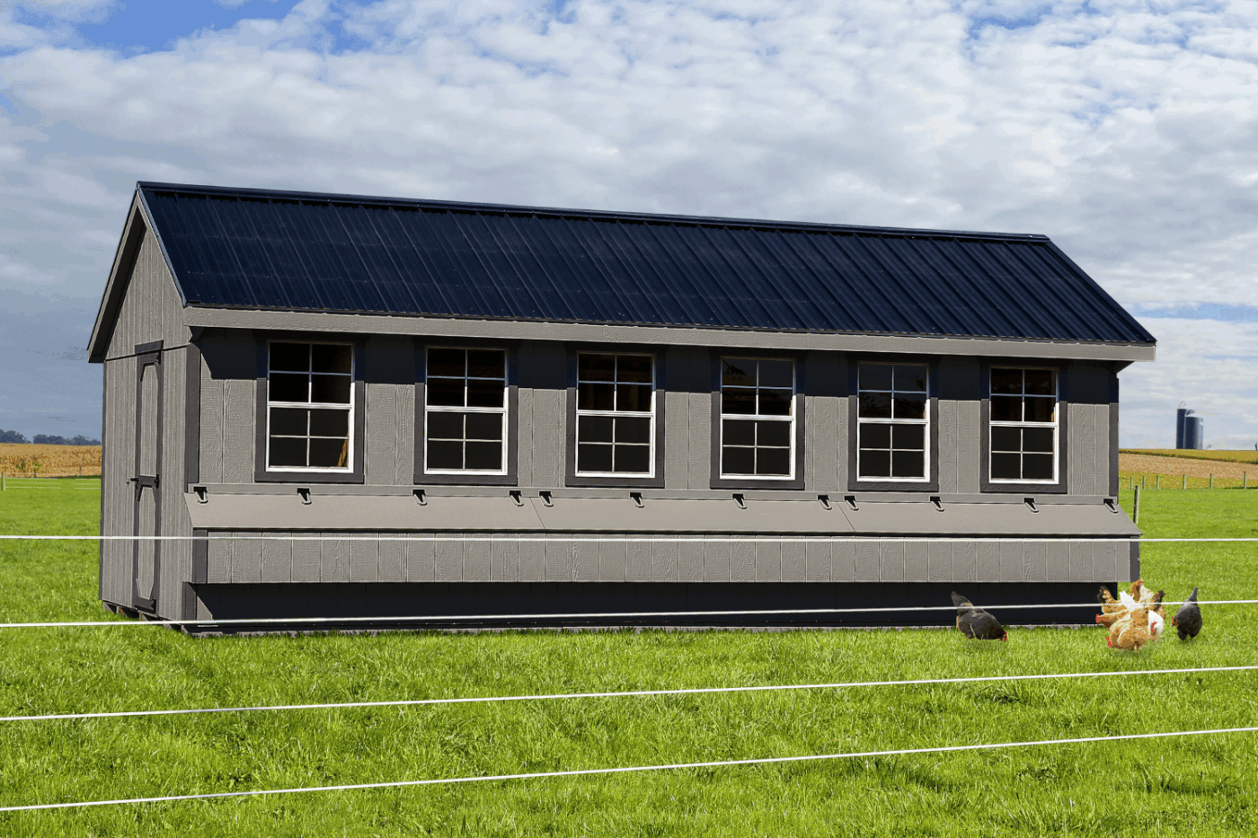 chicken coop for best egg laying chickens