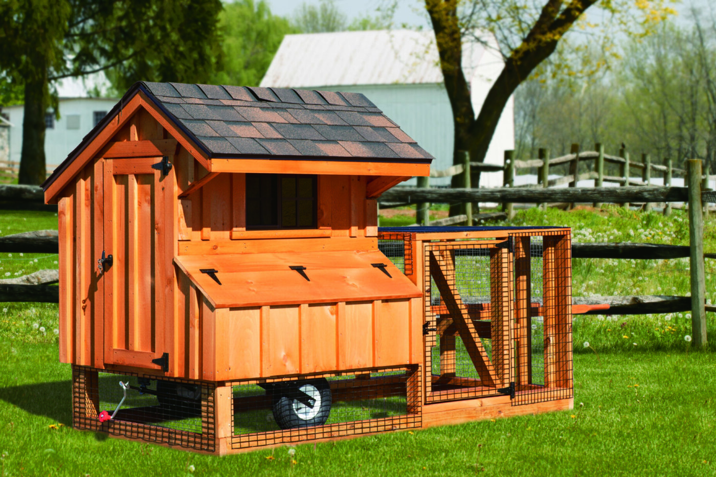 Chicken Coop Ramps | Everything You Need To Know