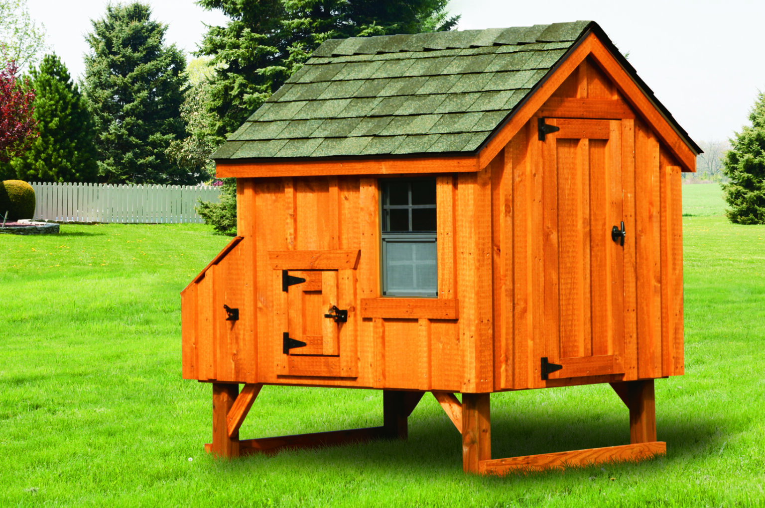 best-steps-to-turning-a-shed-into-a-chicken-coop-the-henhouse-collection