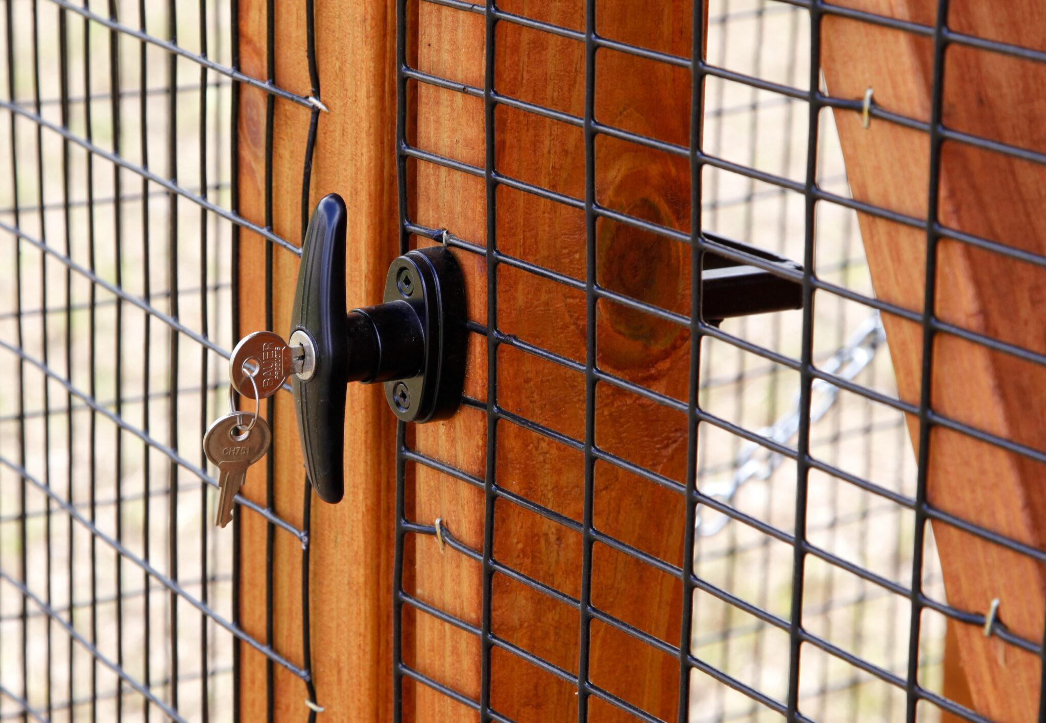 Best Steps to Turning a Shed into a Chicken Coop | The Henhouse Collection