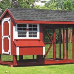 chicken coop and run 6x10 Combination 1