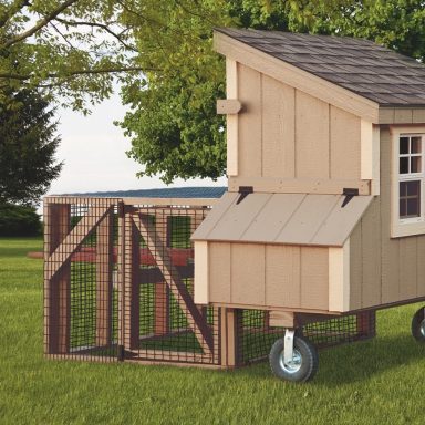 Pictures Of Chicken Coops - The Hen House Collection