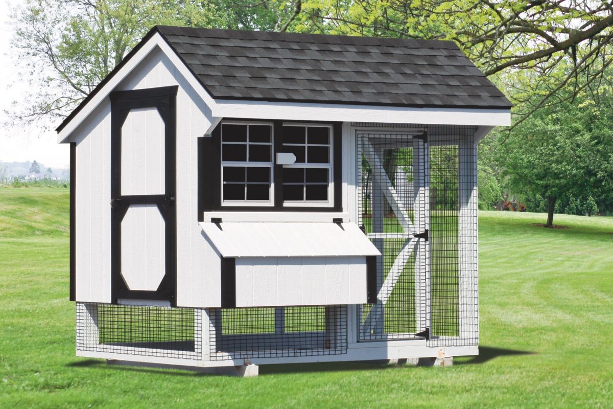 back yard chicken coops 6x8 combination