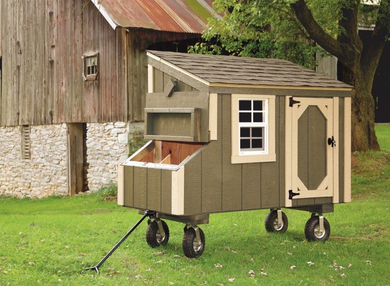 pictures of small chicken coops color