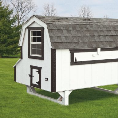images of chicken coops 4x8 Dutch