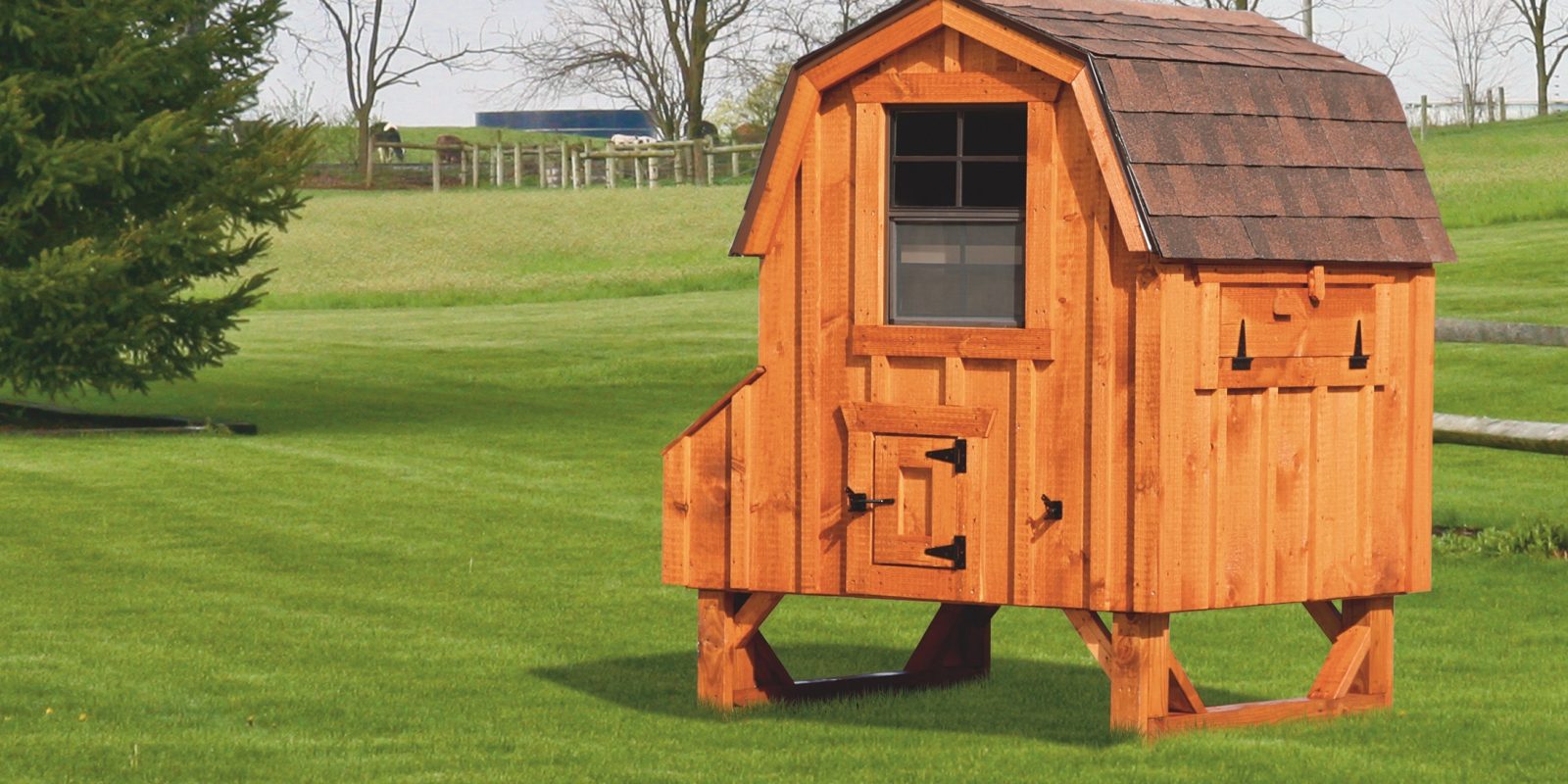images of chicken coops