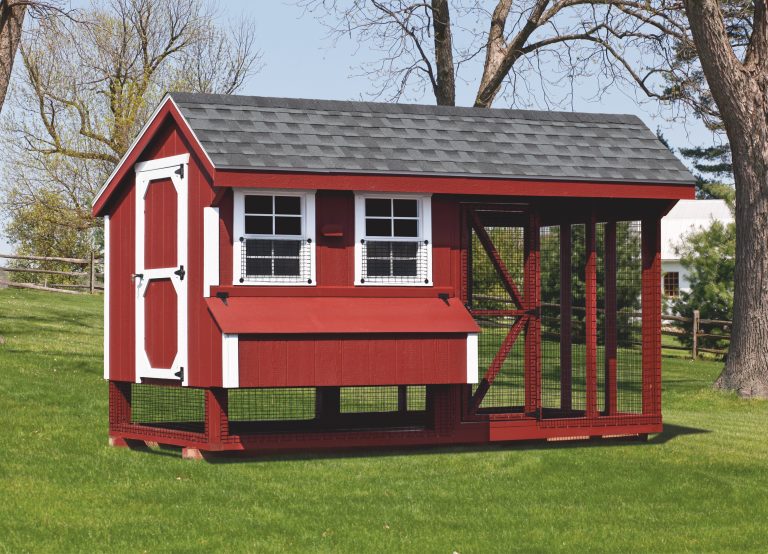 where-can-i-buy-chicken-coops