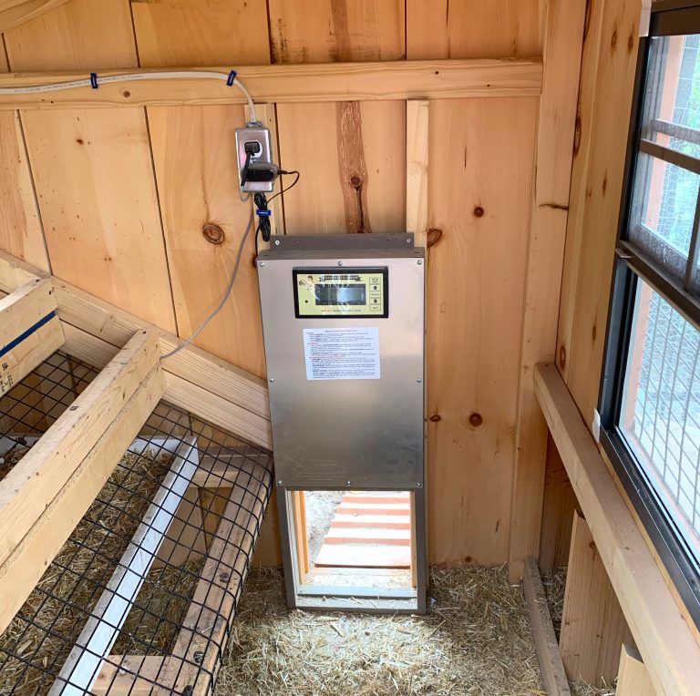 auto door chicken coop in utah