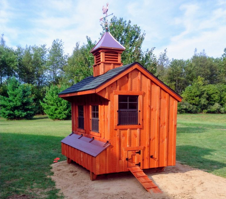 chicken-coop-stories-in-michigan