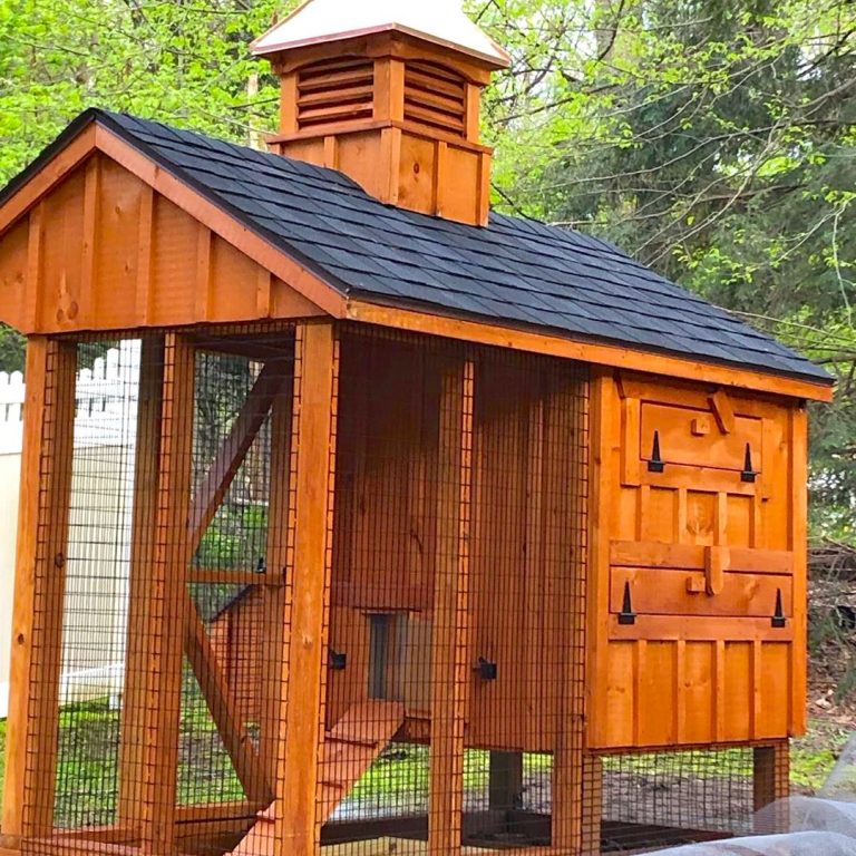 chicken coop syory in connecticut