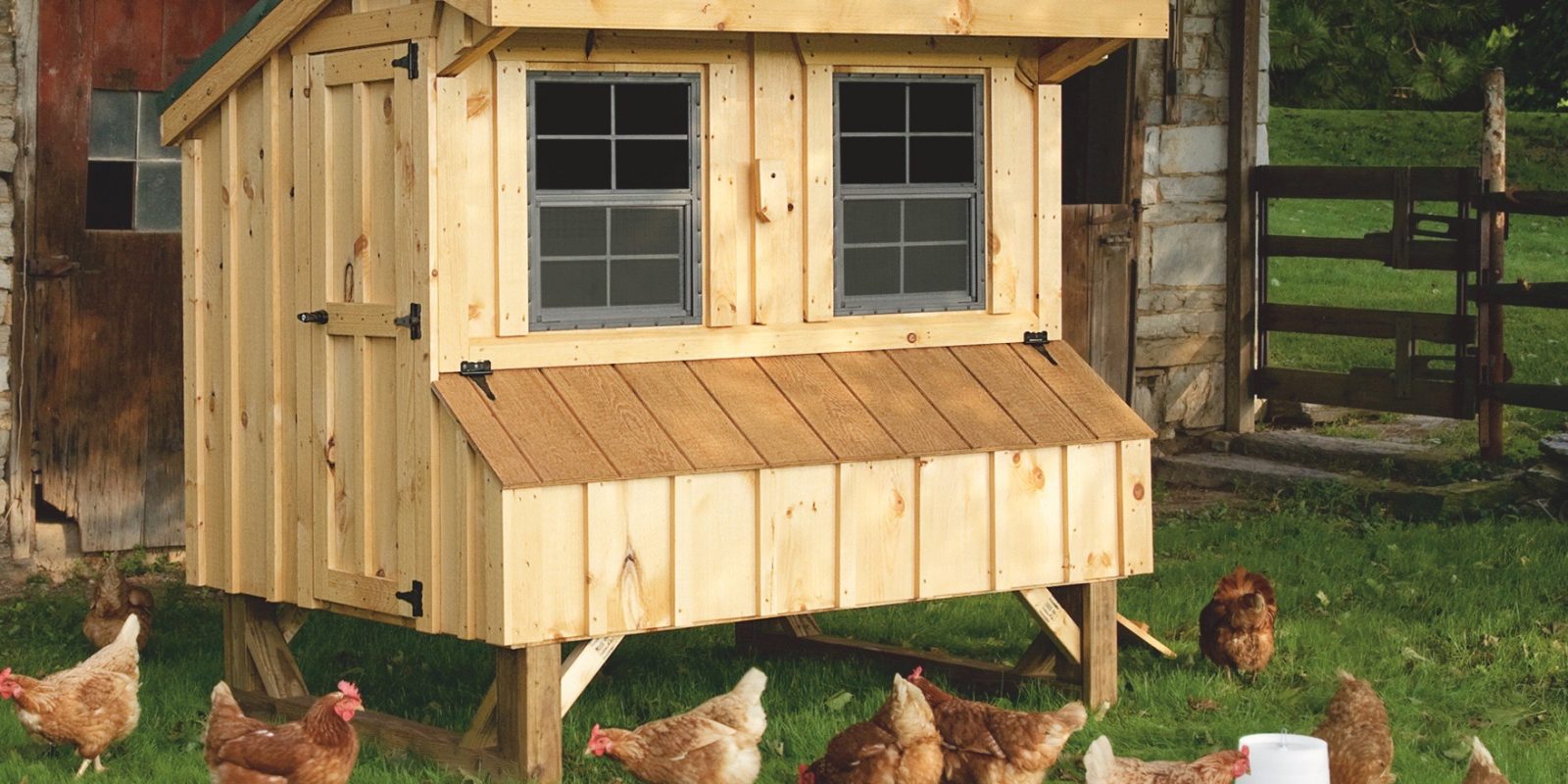 amish chicken coop builder