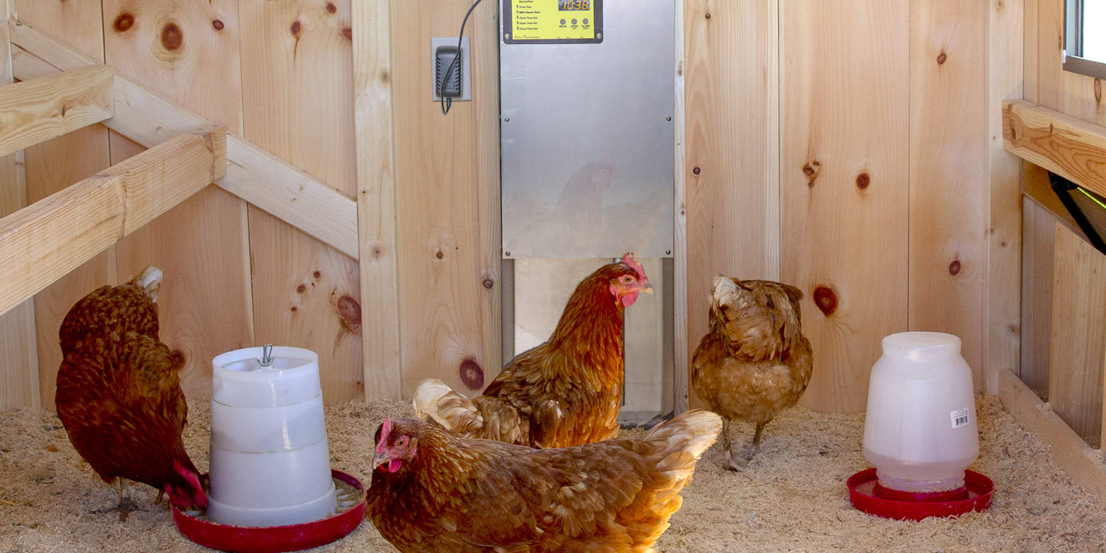 automatic chicken coop door