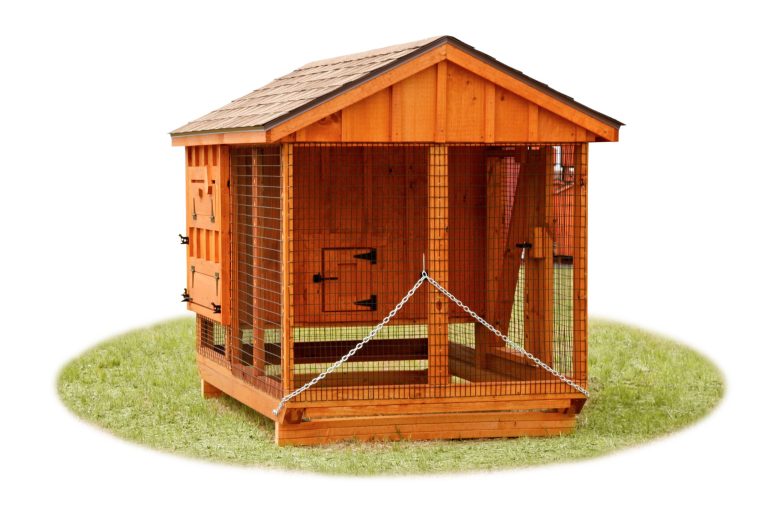 chicken coop and run BB A57C 1