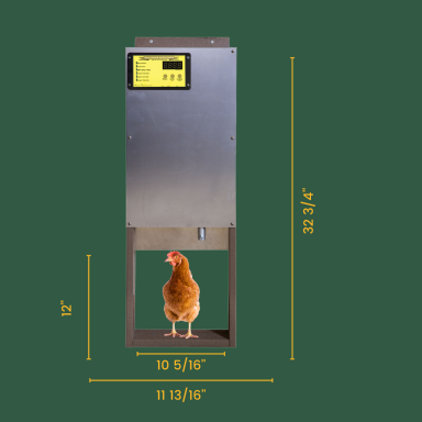 automatic chicken door