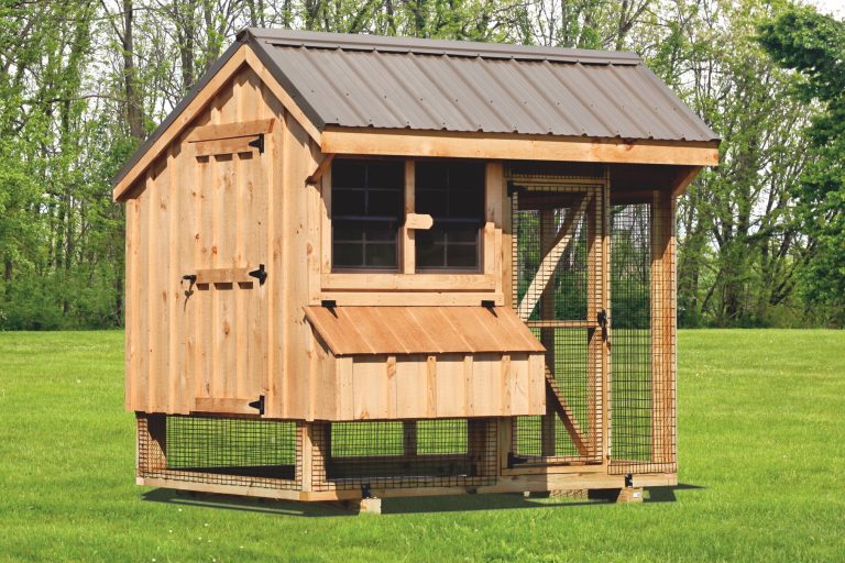 chicken coop and run 6x8 Combination