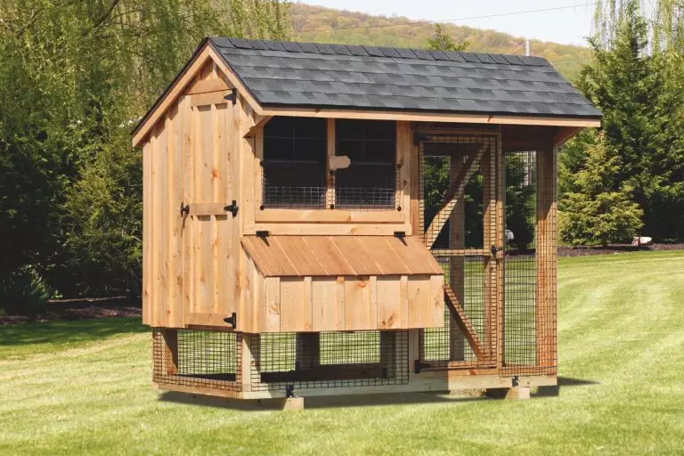 chicken coop and run 4x8 Combination