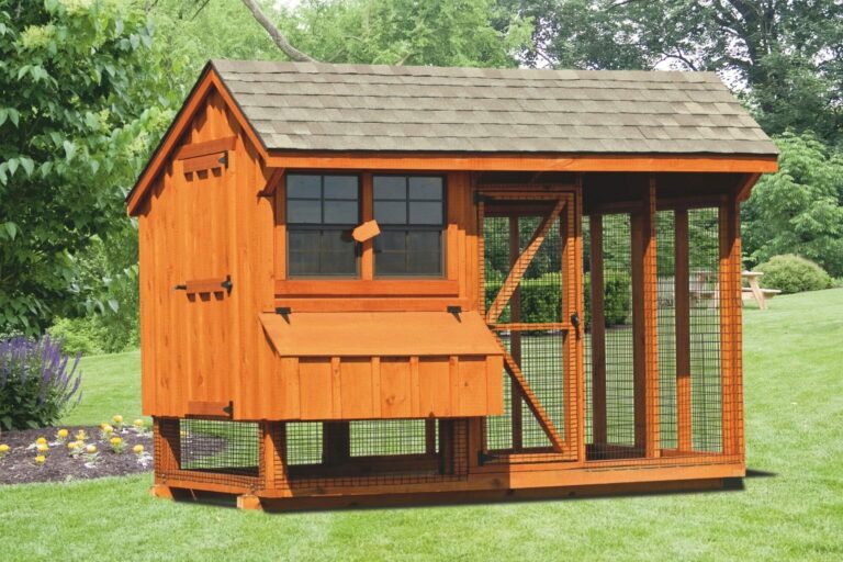 chicken coop and run 6x10 Combination
