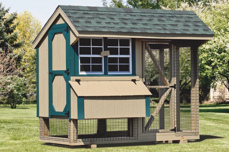 chicken coop and run 4x8 Combination 1