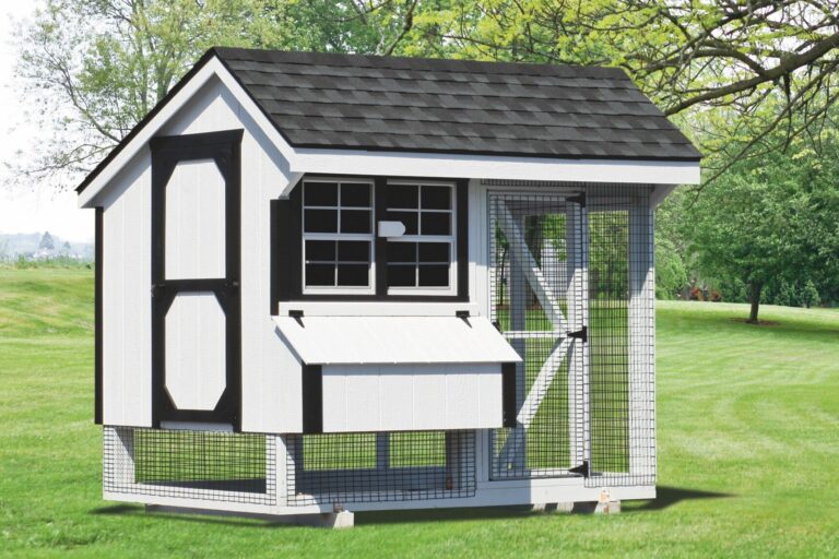 chicken coop and run 6x8 Combination 1