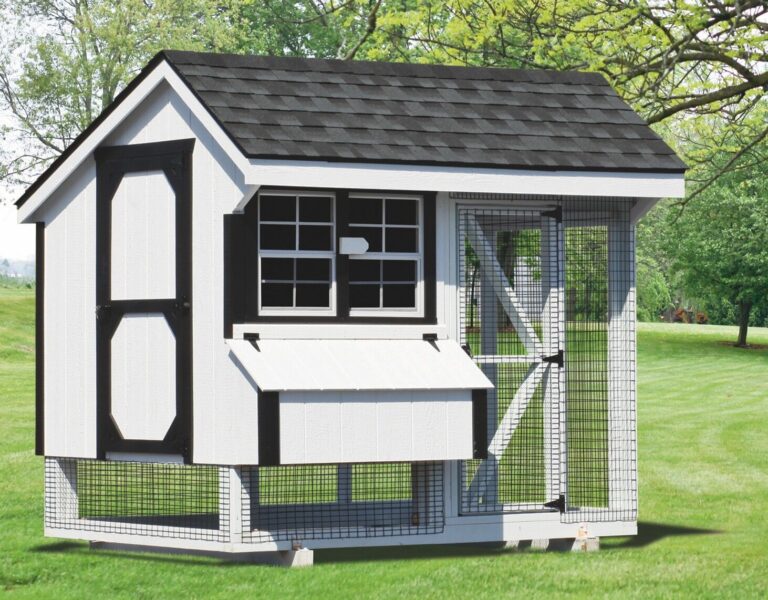 chicken coop and run 6x8 Combination 1