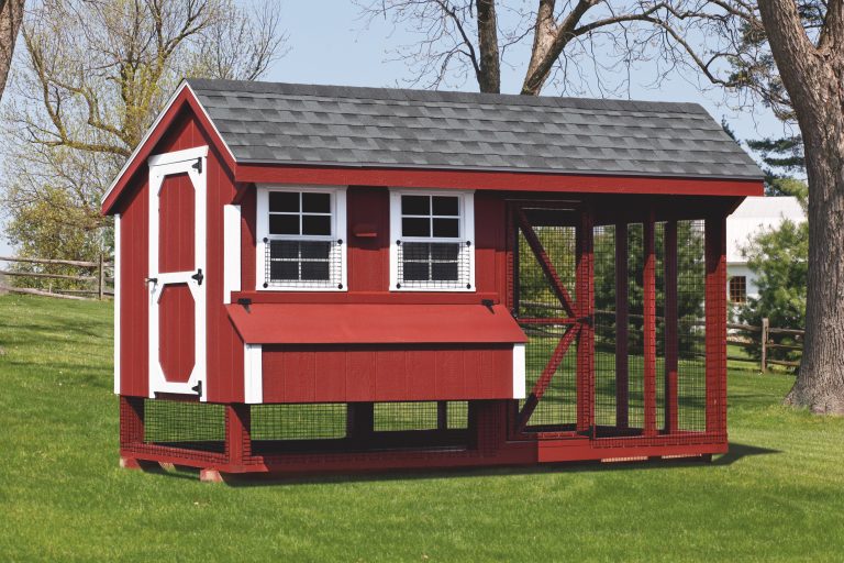 chicken coop and run 6x12 Combination
