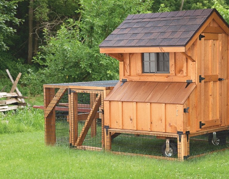 Should you have a Chicken Tractor and what are they?