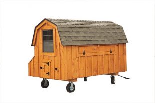 barn style chicken coops Cedar Stain D48 Back View With Optional Wheels and Handle