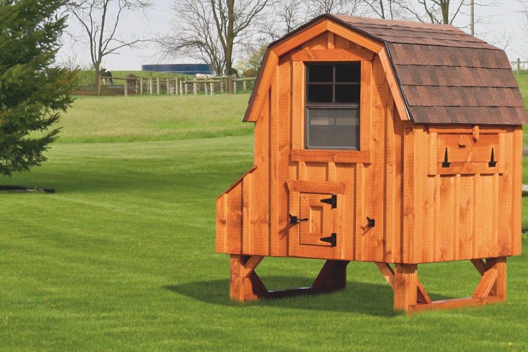 barn style chicken coops 4x4 Dutch With board and batten siding 78” high 14” off ground 4 nesting boxes Cedar stain Walnut brown shingles