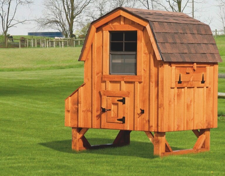 barn style chicken coops 4x4 Dutch With board and batten siding 78” high 14” off ground 4 nesting boxes Cedar stain Walnut brown shingles
