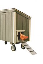 small chicken coops Avocado L35 With Optional Wheels and Handle Back View 1