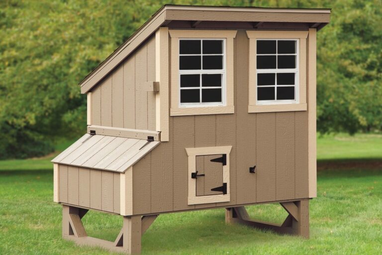 Small Chicken Coops | Get a Hen Coop for Your Small Flock