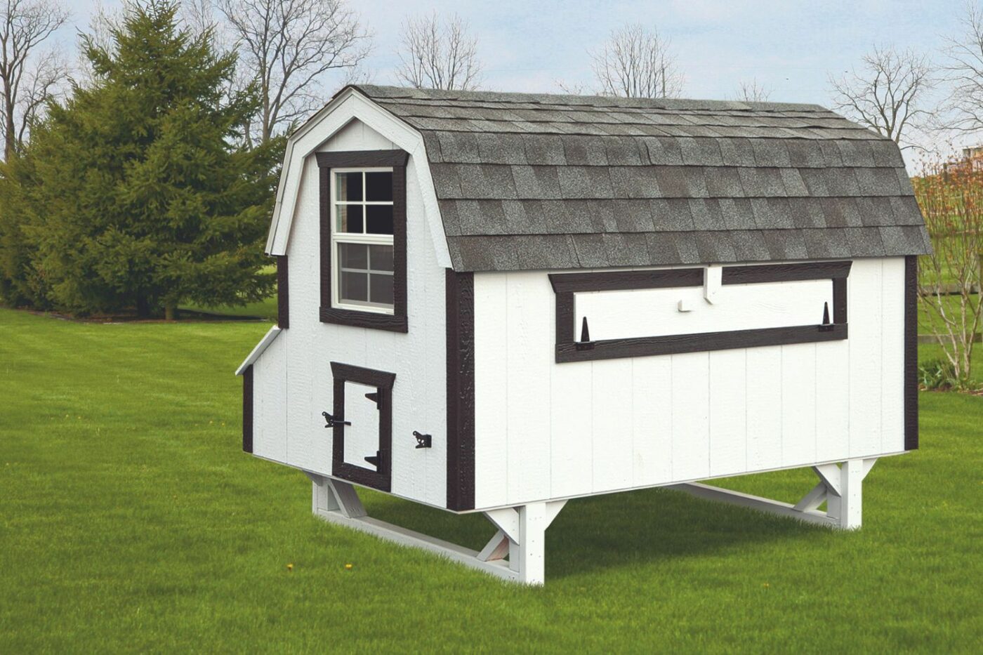 Chicken Coop for 14 Chickens D48 with LP (1)