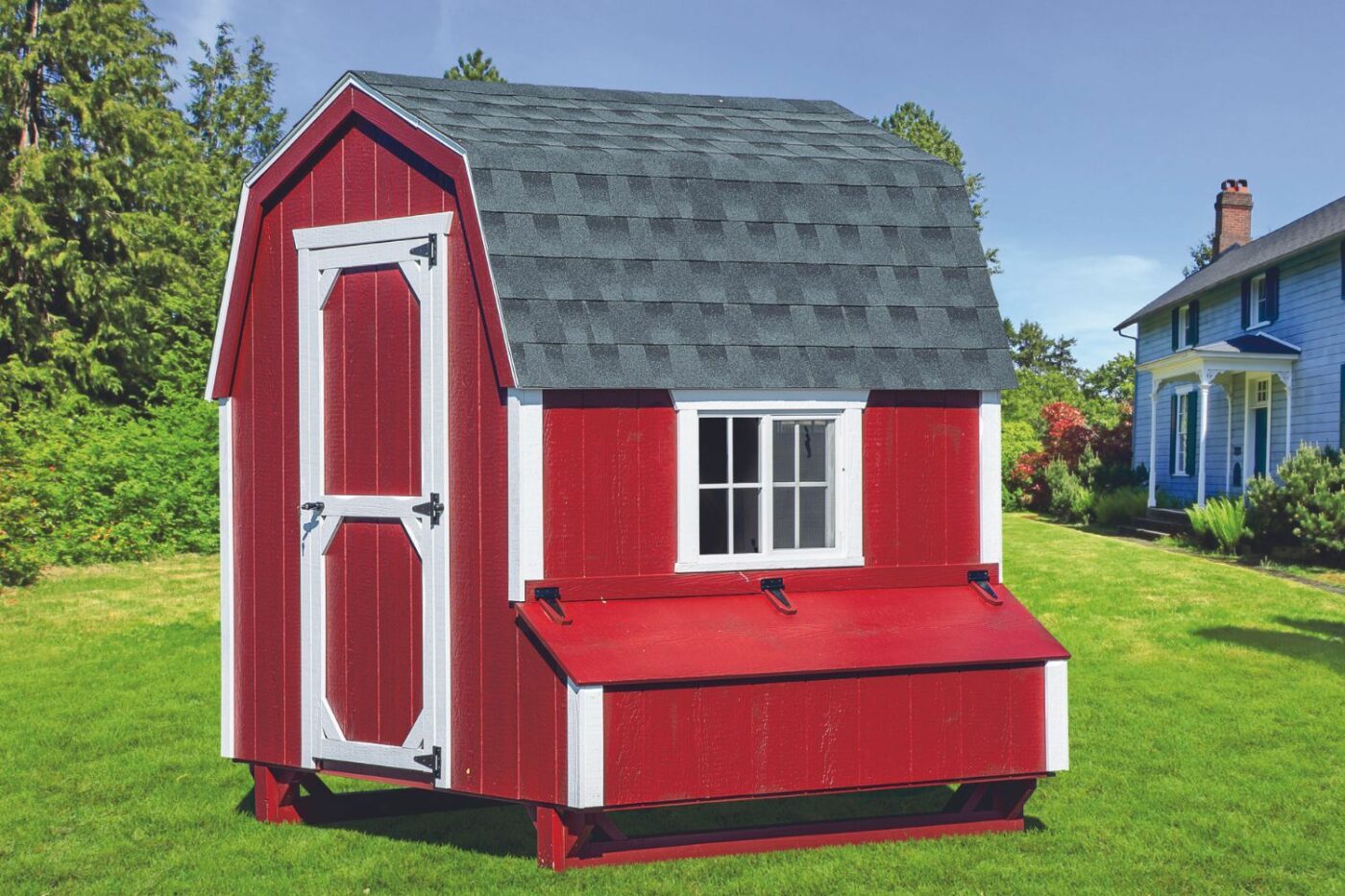 Chicken Coop for 14 Chickens D66 with LP