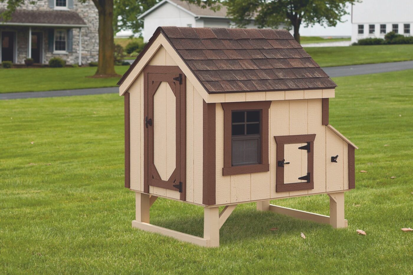 chicken coop for 6 chickens (6)