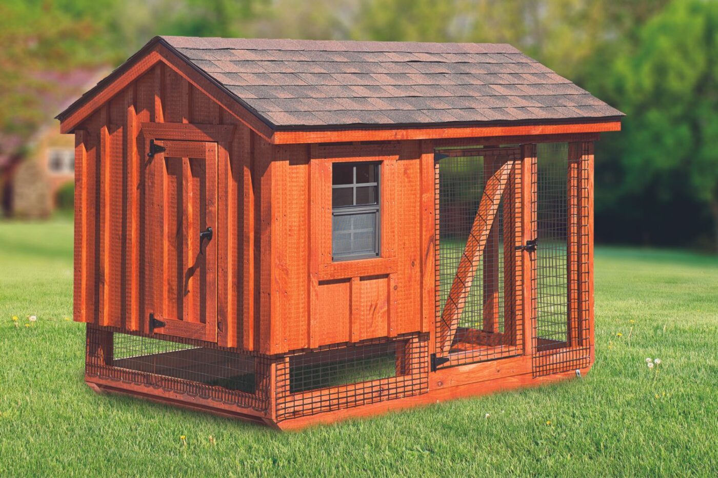A57C w BB- chicken coop for 7 chickens