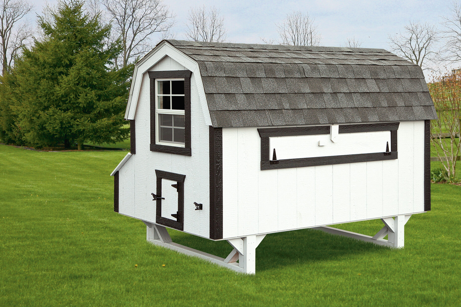 white dutch chicken coops with black trim and shingle roof